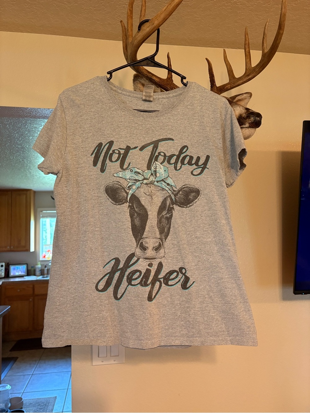 Not Today Heifer Graphic Tee - Gray with Teal Accents